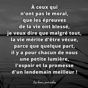 Meet your Posher, Calinours